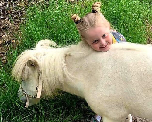 Child With Ponies