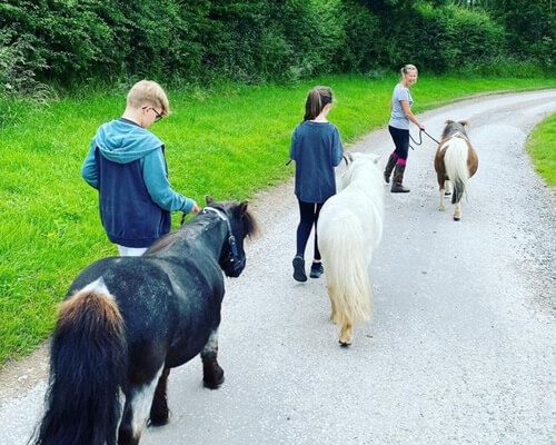 Children Leading Horses